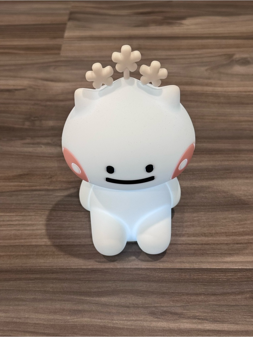 Rechargeable Night Light / Mood Lamp